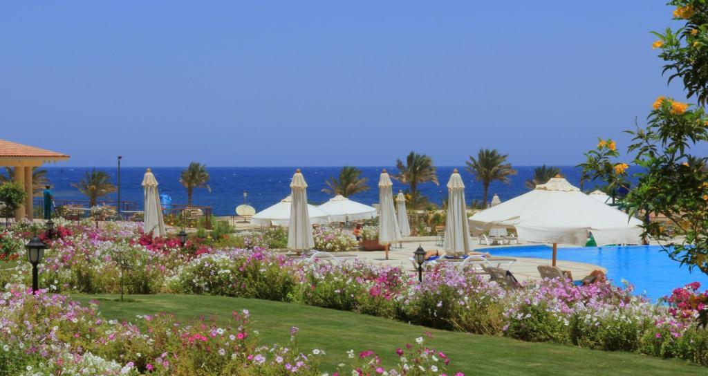 Royal Brayka Beach Resort Абу-Дабаб Экстерьер фото